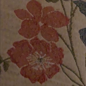 Meet your Posher, Dorothy